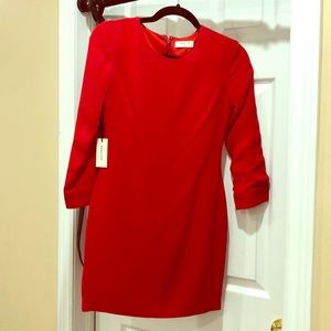 Babaton little red dress, never worn, size 00.
